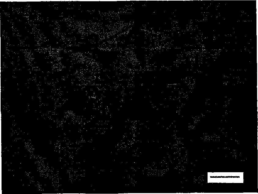 Method for preparing luminescent material with long persistence of Nano strontium aluminate