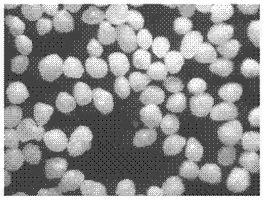 Micro-pill and preparation method thereof