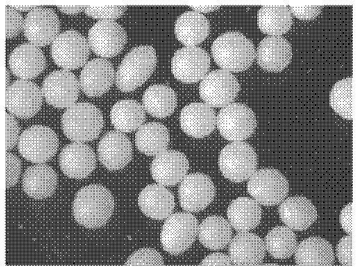 Micro-pill and preparation method thereof