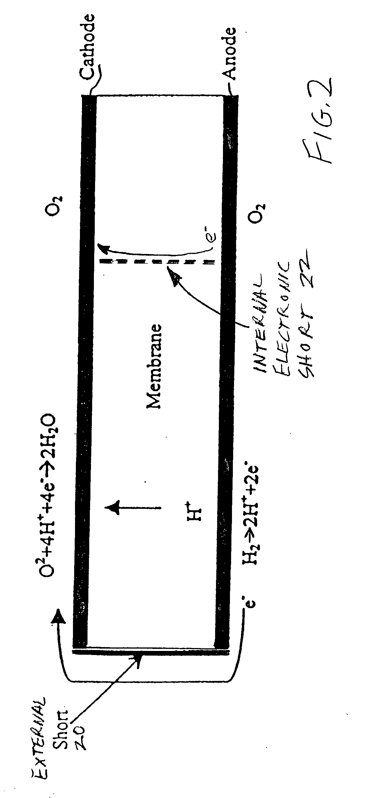 Reducing fuel cell cathode potential during startup and shutdown