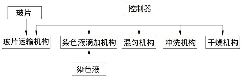 Automatic slide dyeing system