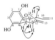 Hydroquinone compound with anti-HCV (Hepatitis C Virus) activity and preparation method thereof