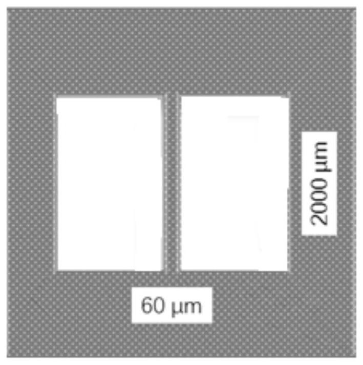 Semiconductor thin film field effect transistor of a kind of unstable two-dimensional material and preparation method thereof