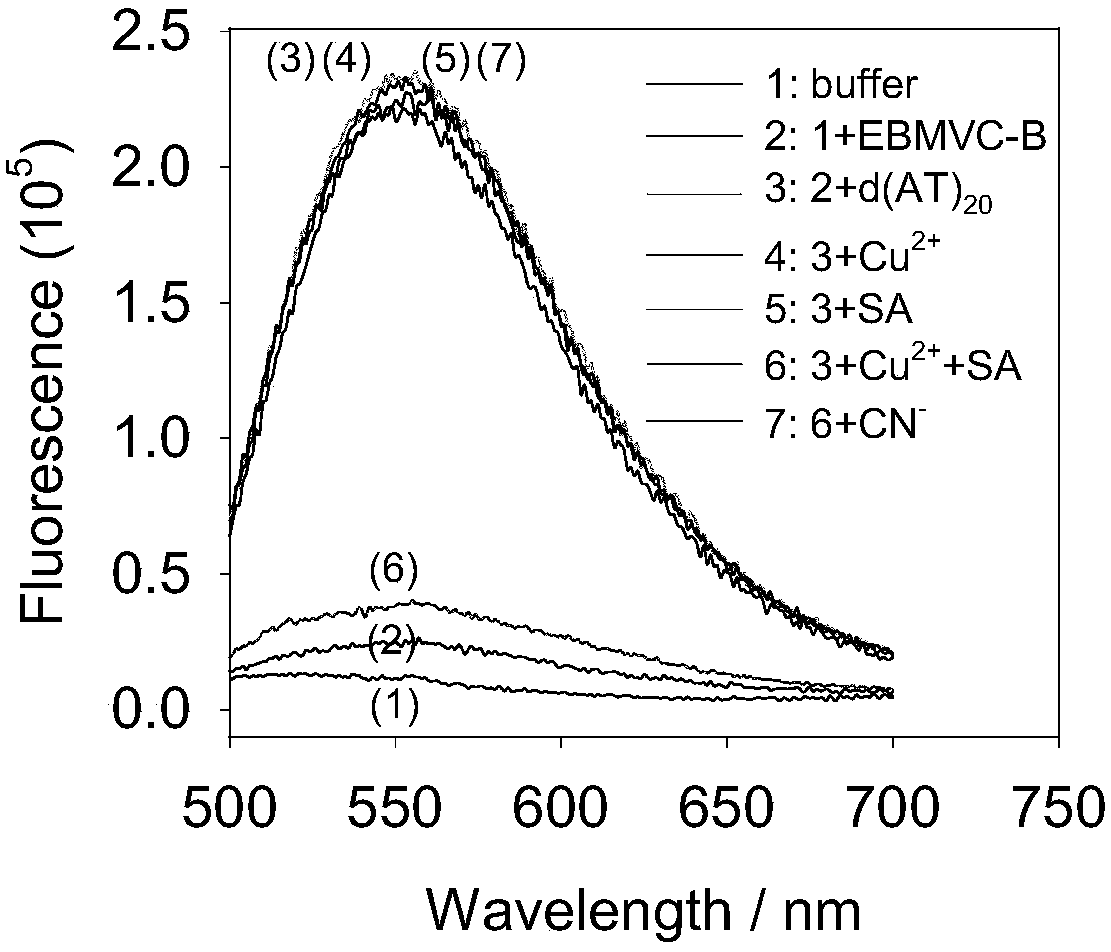 A kind of rapid detection method of cyanide ion