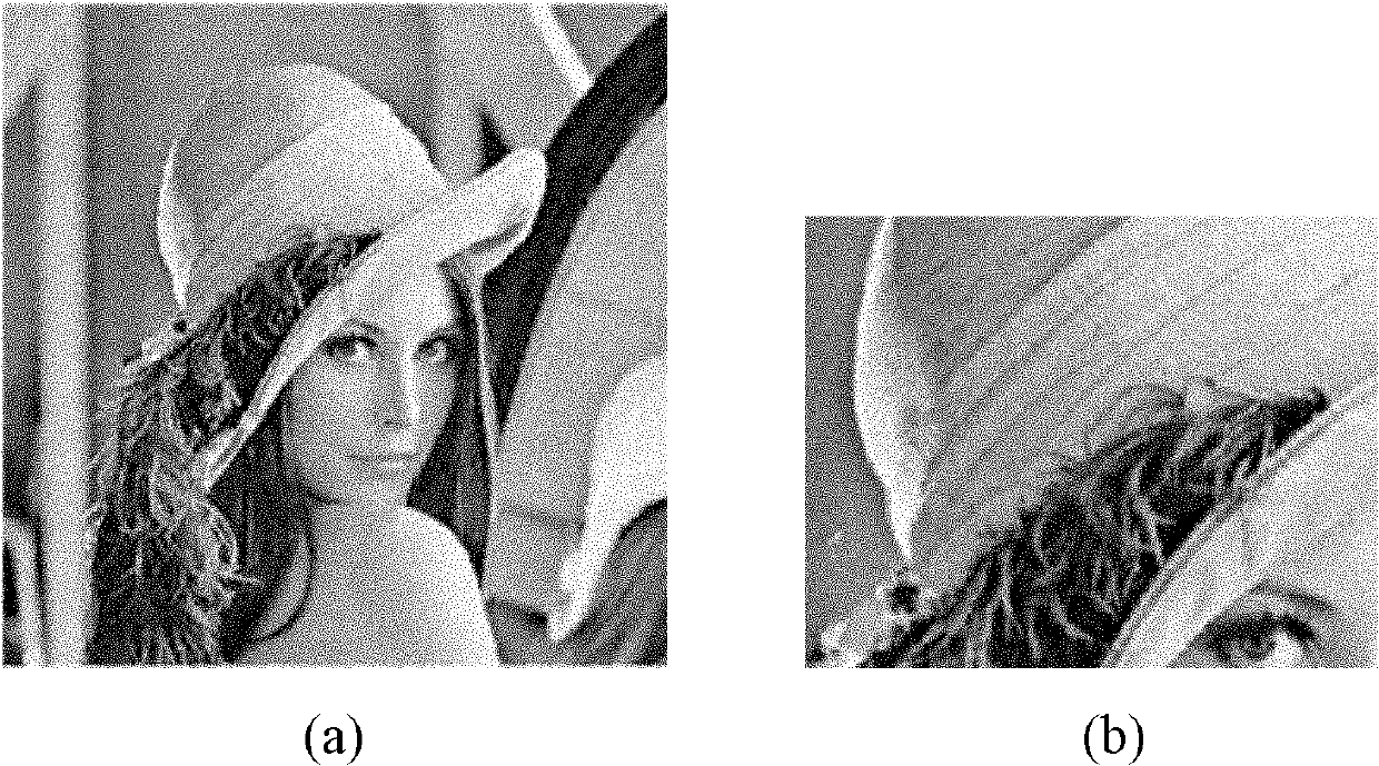 Natural image noise removal method based on dual redundant dictionary learning