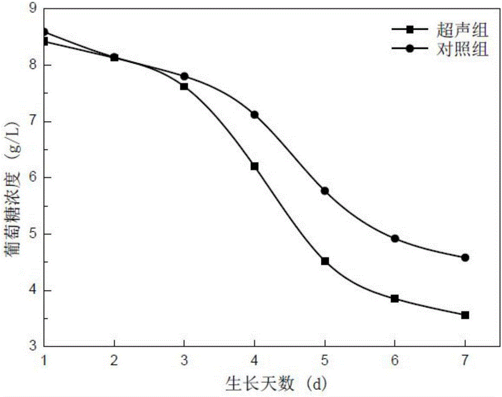 Method for promoting synthesis of microalgae oil by low frequency and low intensity ultrasound