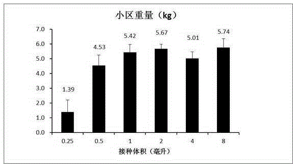 Maize mushroom production method and products