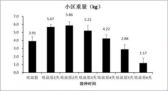 Maize mushroom production method and products