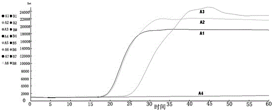 Grass carp reovirus type I type II type III type iii RT-lamp fluorescence detection kit and detection method