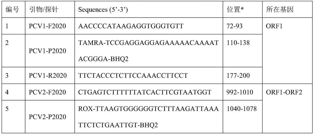 Fourfold real-time fluorescent PCR identifying and detecting method for porcine circoviruses 1 to 4