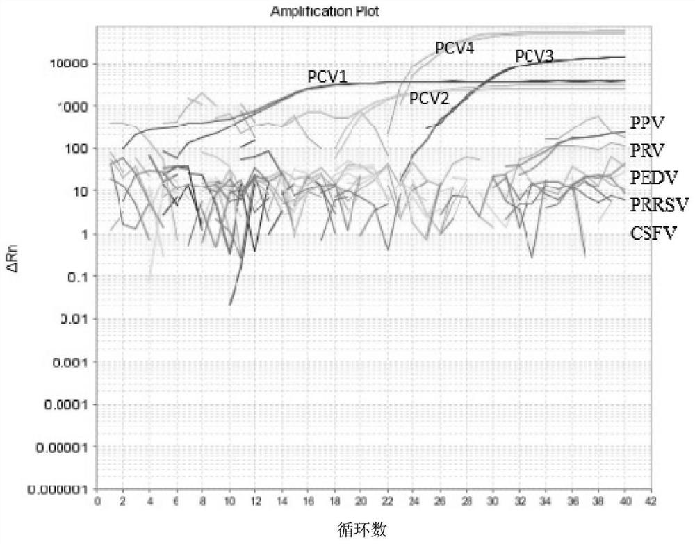 Fourfold real-time fluorescent PCR identifying and detecting method for porcine circoviruses 1 to 4