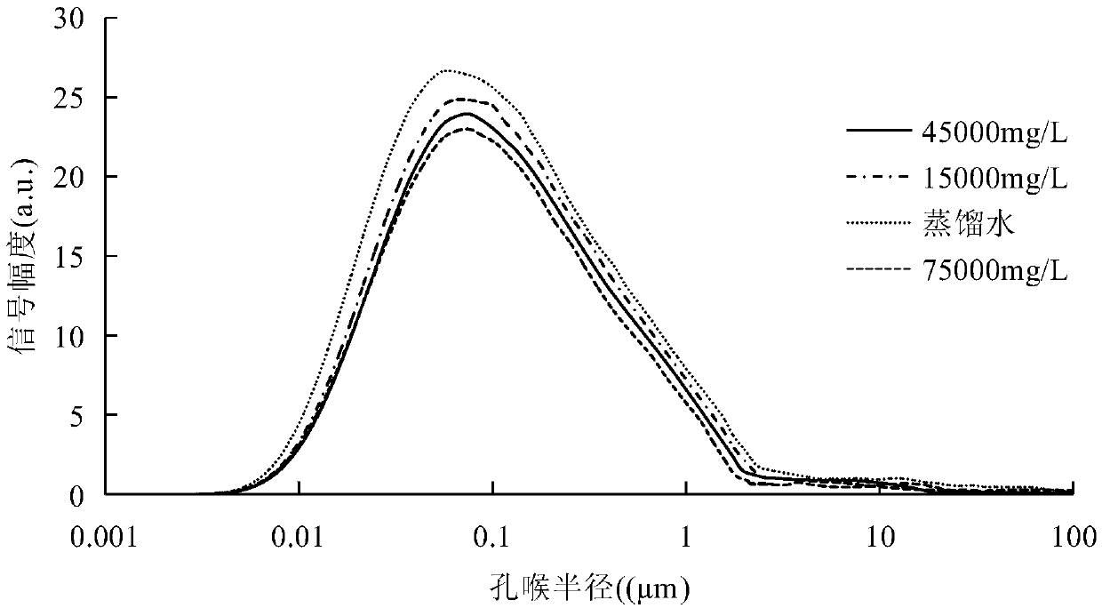 Formation water mineralization degree test method based on nuclear magnetic resonance technology