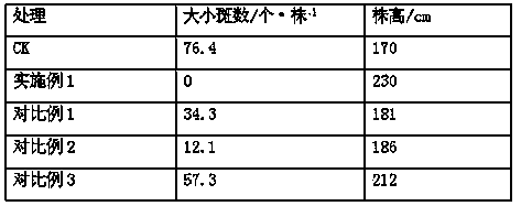 Disease-resistant compound biofertilizer special for corn and preparation method thereof