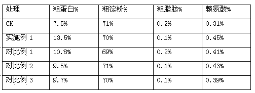 Disease-resistant compound biofertilizer special for corn and preparation method thereof