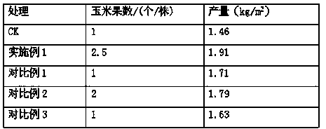 Disease-resistant compound biofertilizer special for corn and preparation method thereof