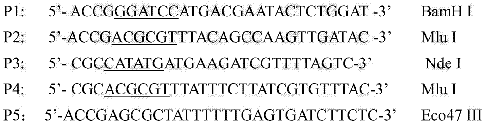 A method for enhancing the synthesis of 2,3-butanediol by increasing the level of intracellular coenzyme