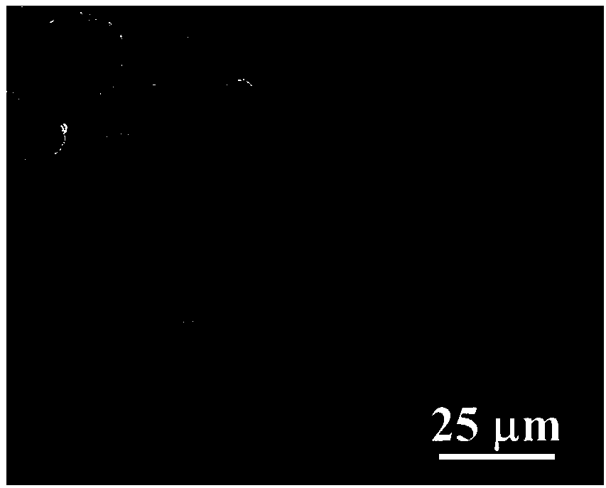 Natural glycan-based multifunctional microspheres, preparation method and application