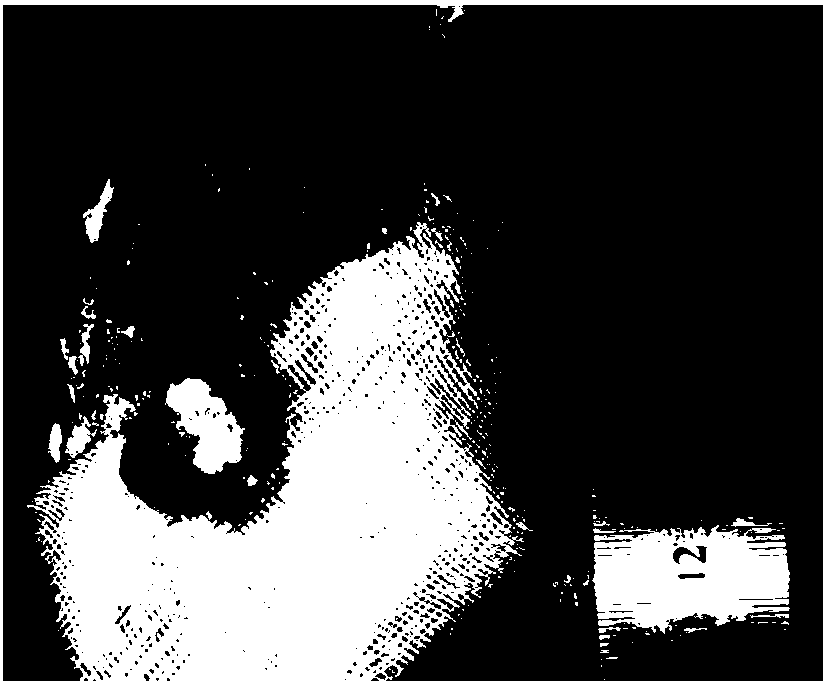 Natural glycan-based multifunctional microspheres, preparation method and application