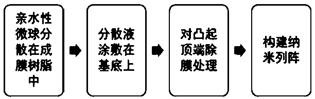 Material with bionic hydrophobic-hydrophilic surface and preparation method and application of material