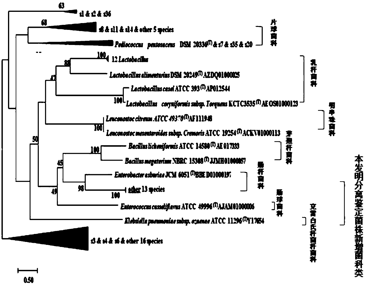 Medium for separating microorganisms in sauerkraut fermentation liquid and preparation method thereof