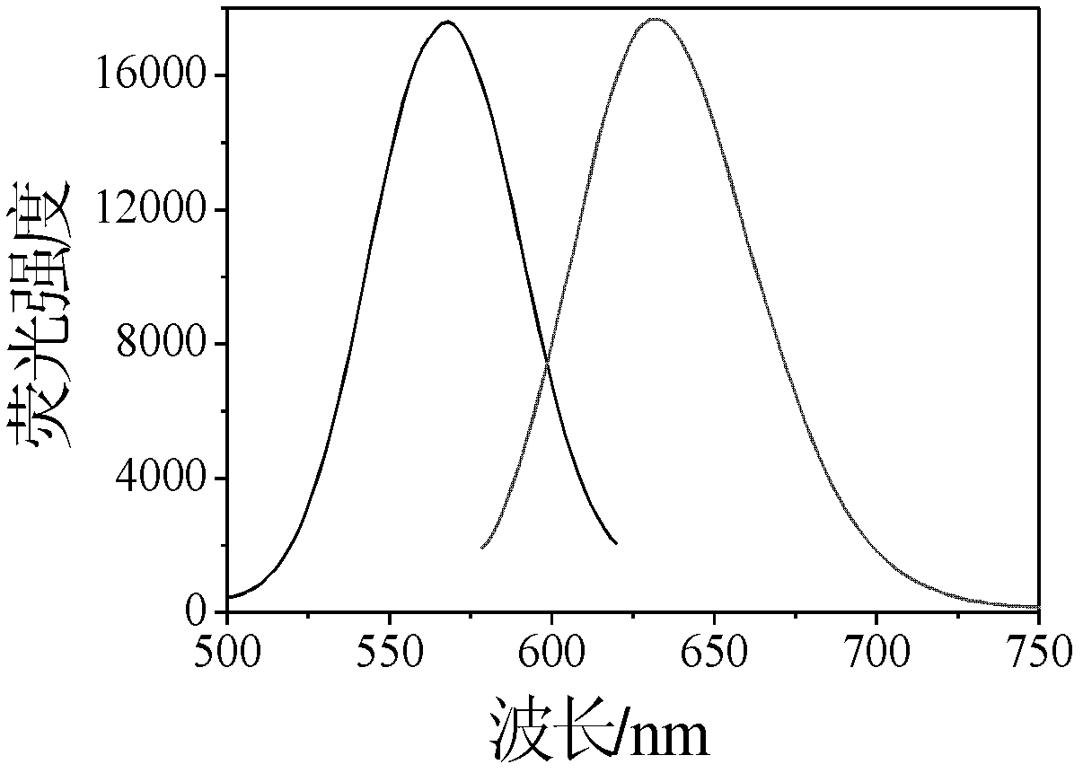 Nano-silver fluorescent probe for detection of cyanide ion