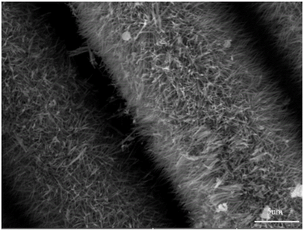 Polyimide resin-based structure wave-absorbing material reinforced by nickel cobaltate-silicon carbide fiber multi-scale reinforcement and preparation method thereof