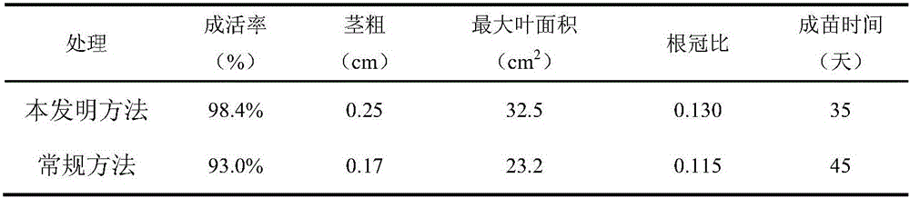 Grafting method for increasing watermelon grafting survival rate