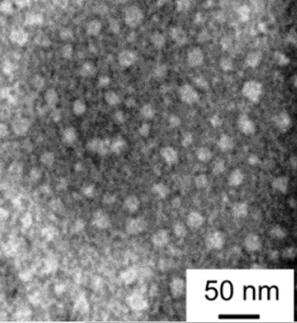 Water-soluble degradable and efficiently antibacterial polymeric micelle and preparation method thereof