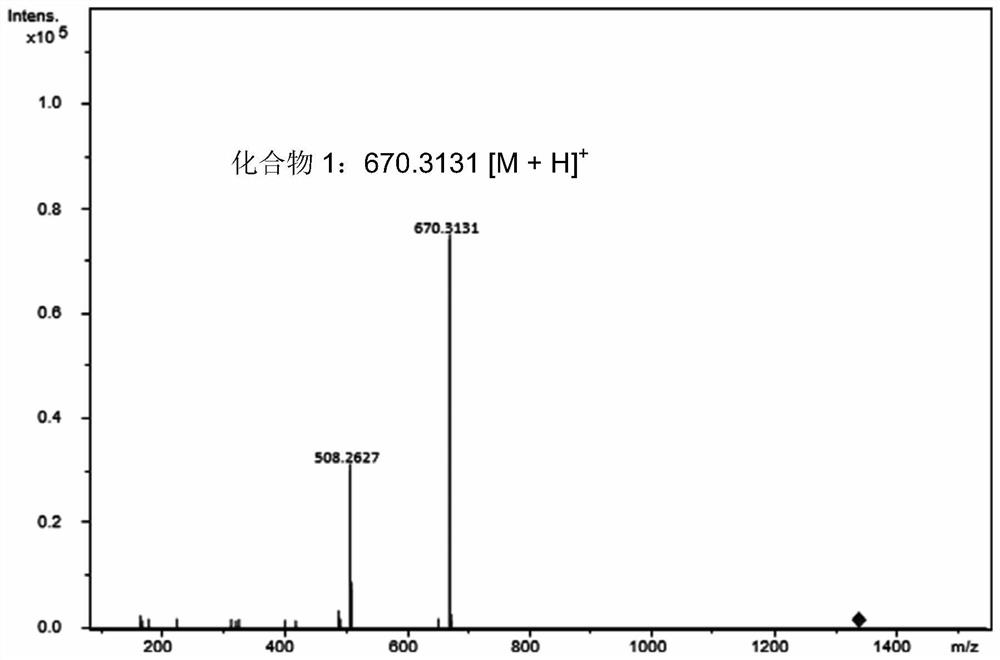 A group of epothilone b glucoside compounds and their enzymatic preparation and application