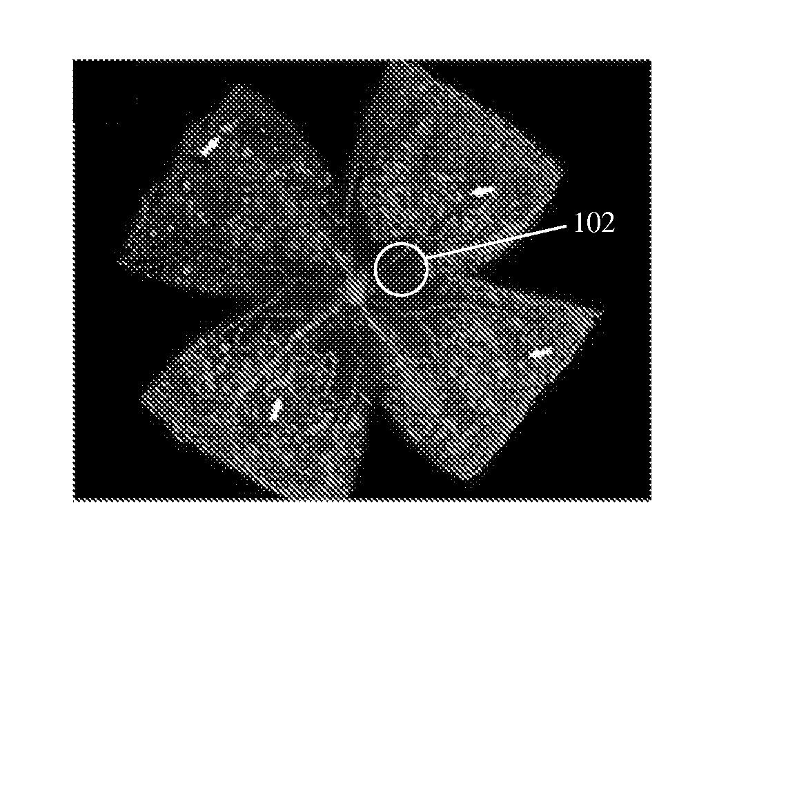 Methods and compositions for treating diseases associated with neovascualrization