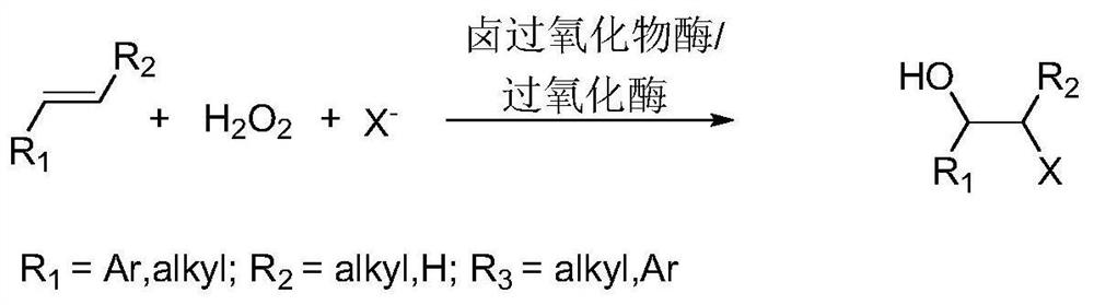 Method for preparing beta-halogenated ether and beta-halogenated alcohol under catalysis of peroxidase