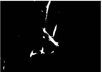 Preparation method of high-sensitivity electronic skin