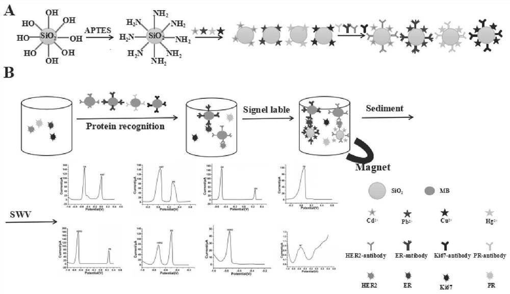 In-situ electrochemical immunosensor for simultaneously detecting four markers of breast cancer