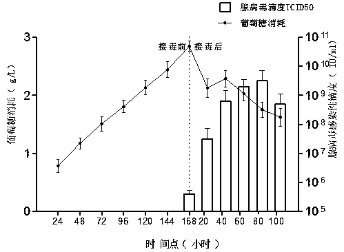 Optimized technological method for amplifying recombinant adenovirus by using bioreactor