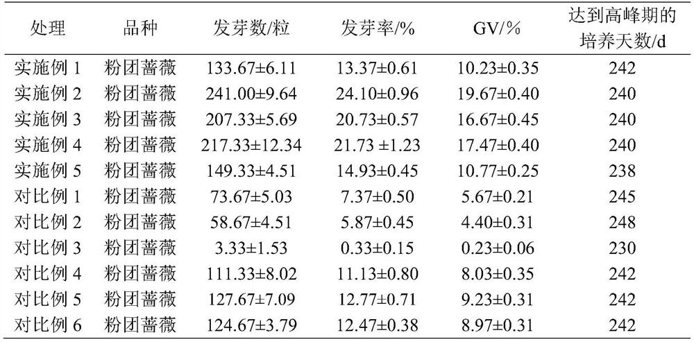 Germination accelerating method for rose seeds