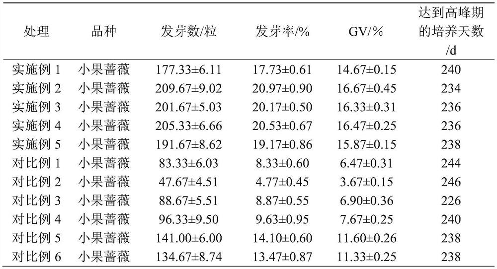 Germination accelerating method for rose seeds