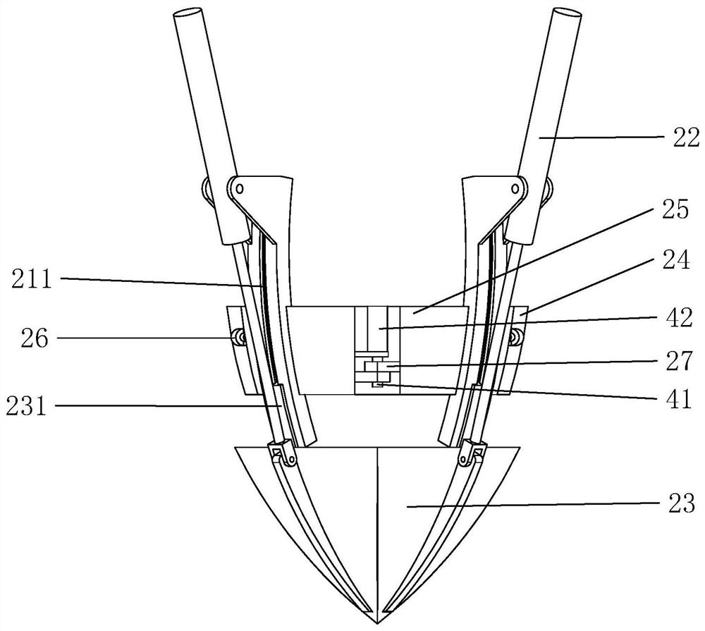 Gingko seedling transplanting device and method