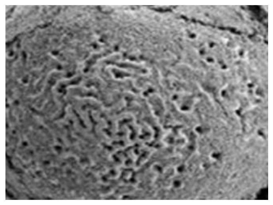 Smearing type color additive based on composite assembled particles and preparation method thereof