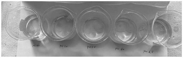 Olefin acid resin and preparation method thereof