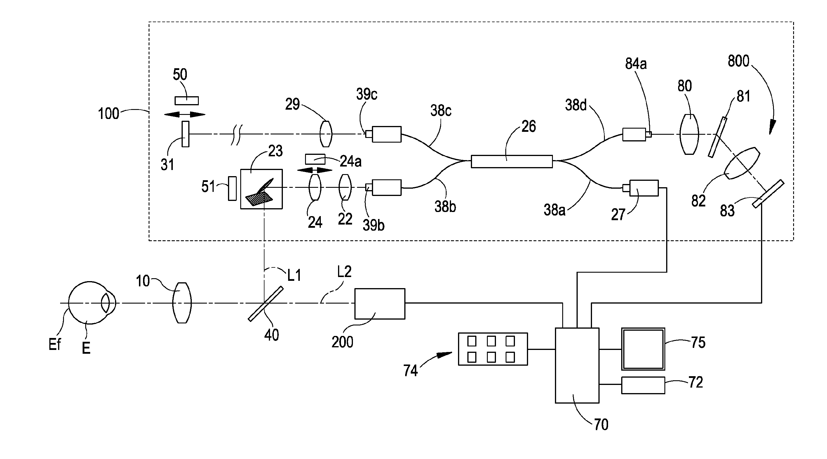 Apparatus and method for generating two-dimensional image of object using optical coherence tomography (OCT) optical system