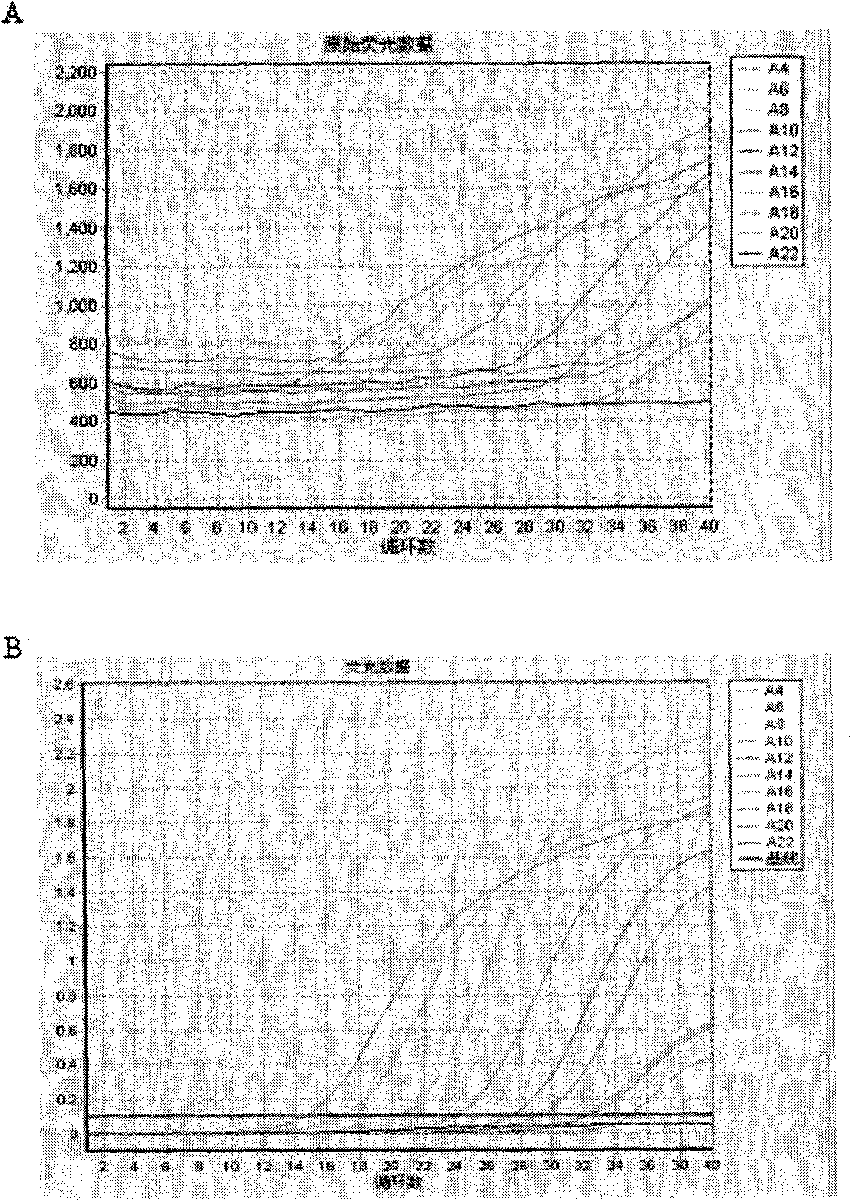 Taqman real-time fluorescence PCR (polymerase chain reaction) capable of reducing polymerization with primers