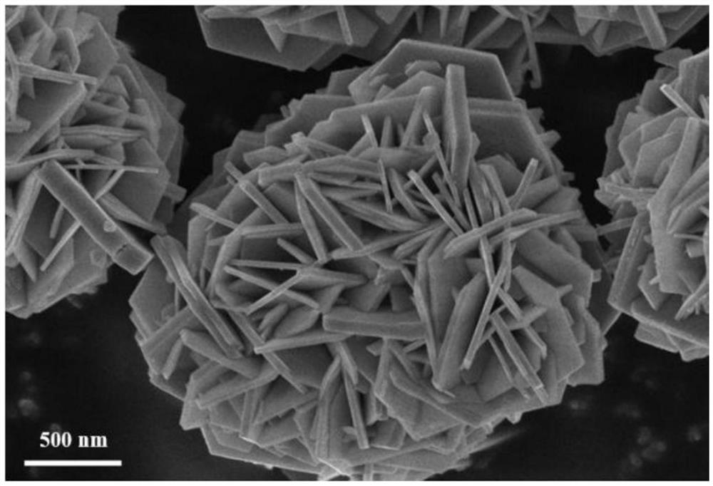 Preparation method and application of precursor cobalt hydroxide