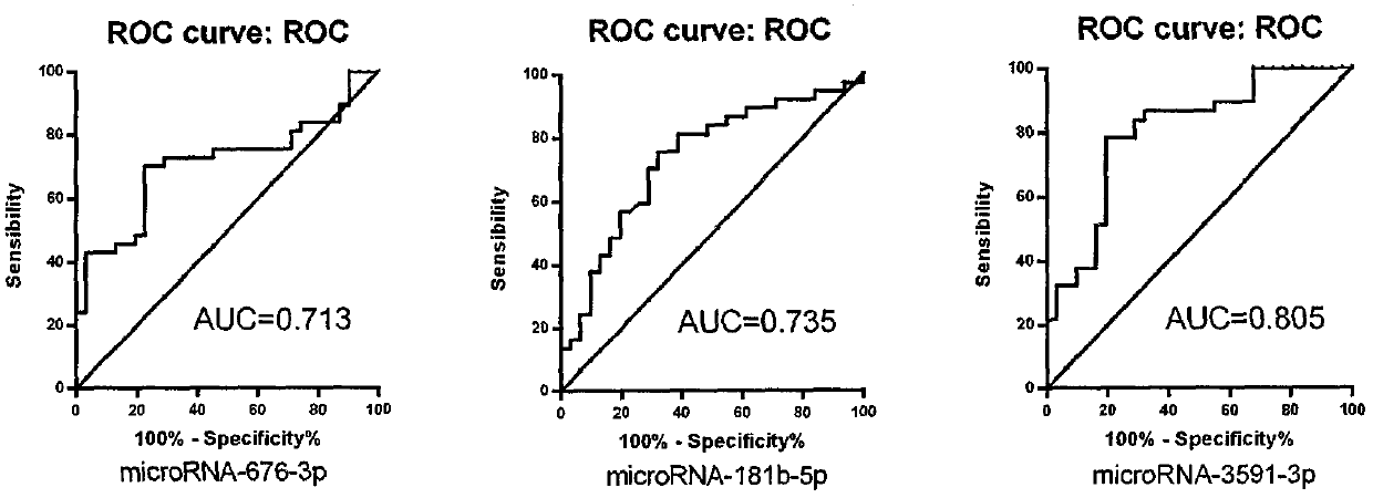 Kit for diagnosing acute mountain sickness through combination of miR-676, miR-181b and miR-3591