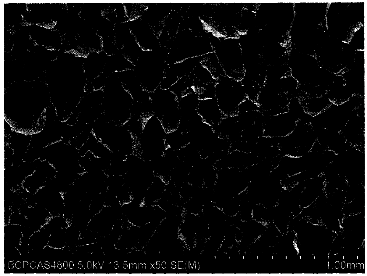 Novel application and preparation method of a kind of biological retina