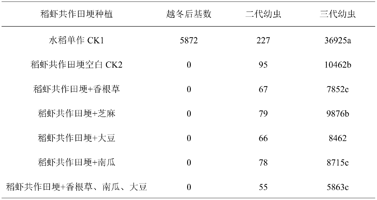 Ridge utilization method of rice-shrimp co-culture system