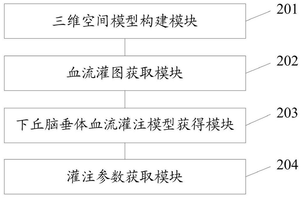 Acquisition method and system for blood perfusion of hypothalamus and pituitary