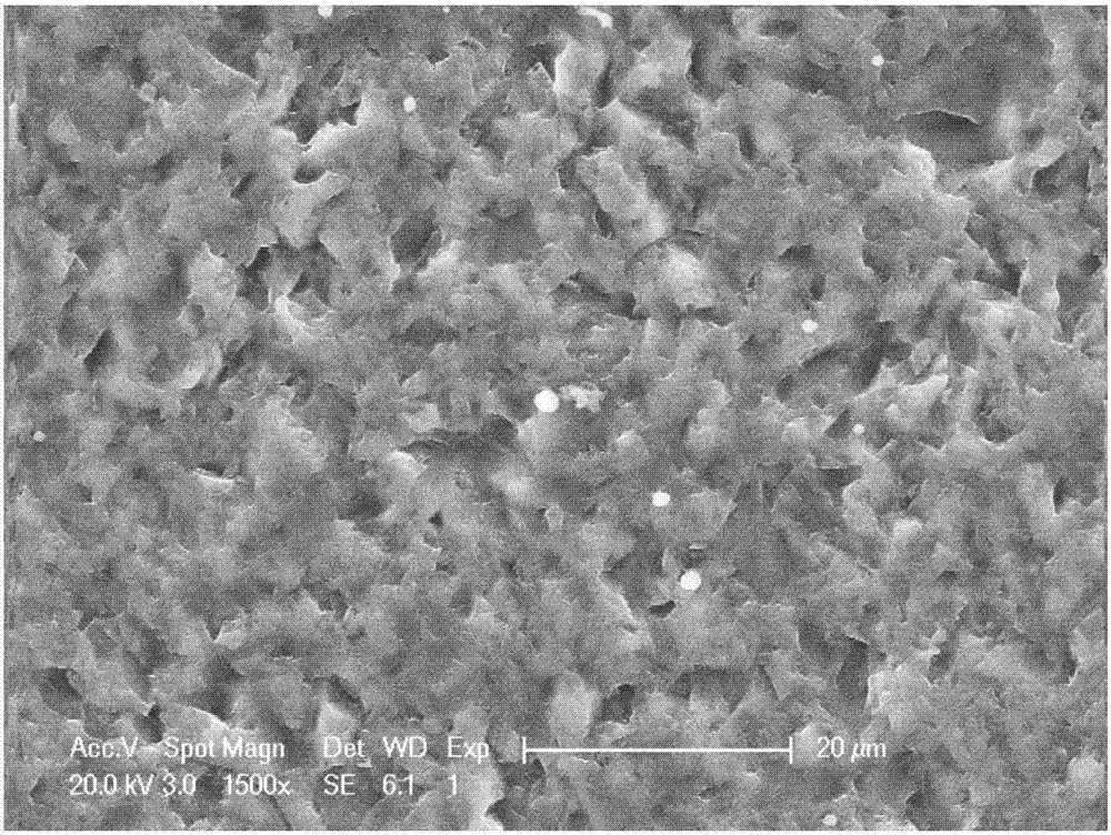 Texturing method for diamond wire-cut polycrystalline silicon wafers