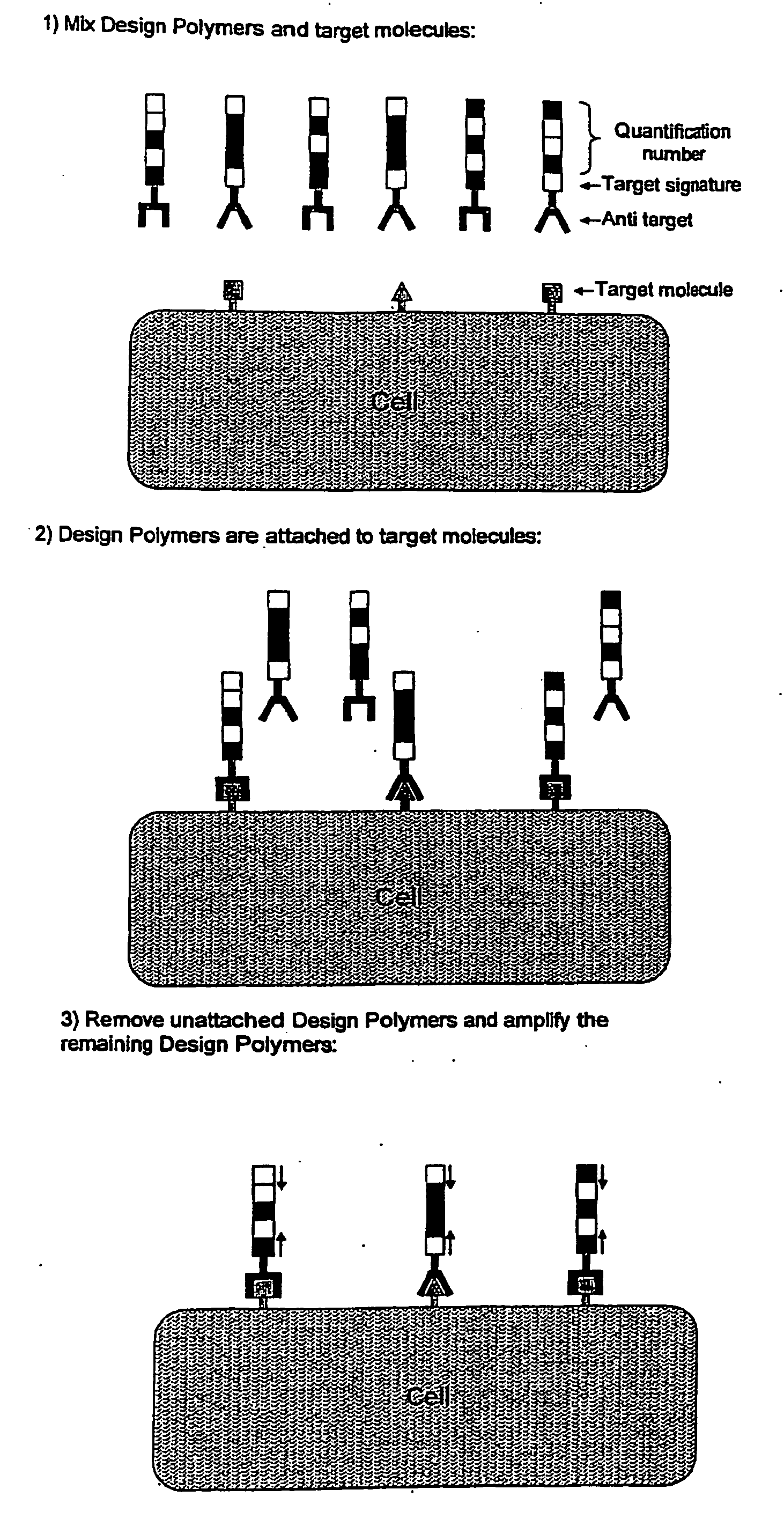 Polynucleotide Ligation Reactions