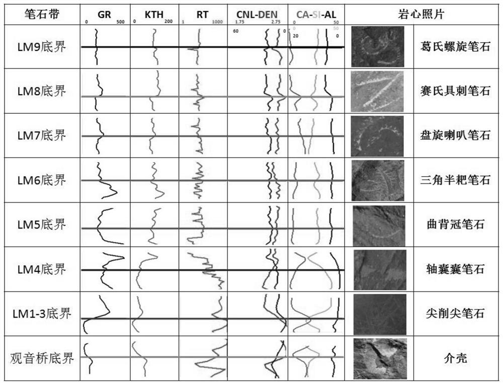 Shale graptolite belt division model establishment method and shale graptolite belt division method