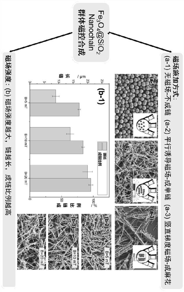 Multifunctional magnetic control nano chain with biological catalysis effect